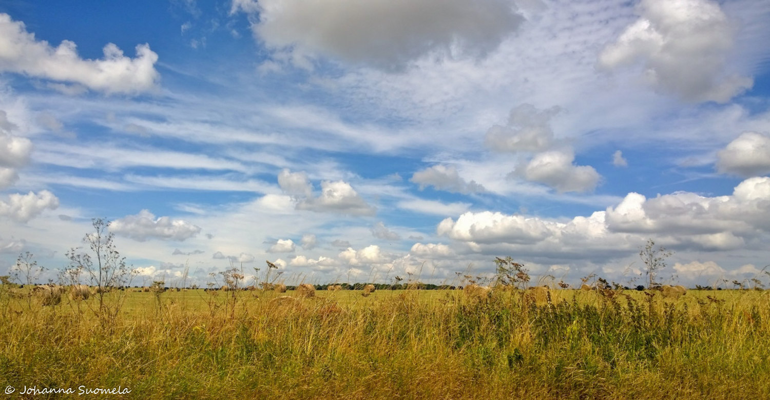 Beautiful day Wiltshire