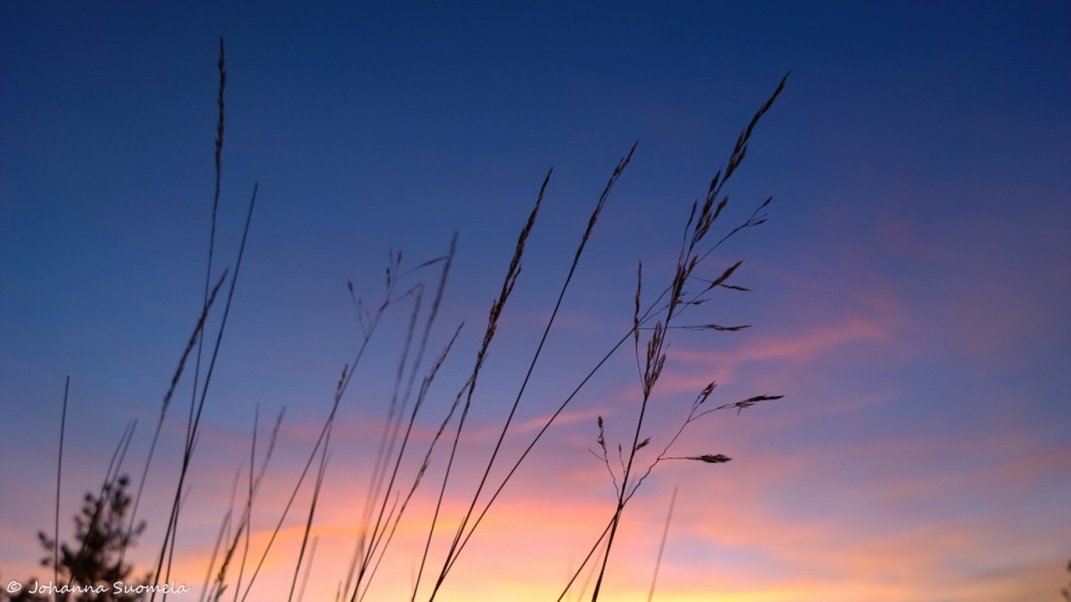 Auringonlasku pastellivari