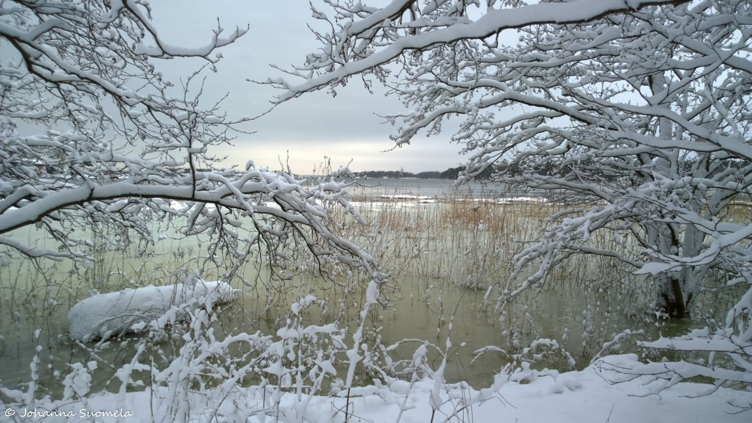 Lumipyrynjalkeen ranta