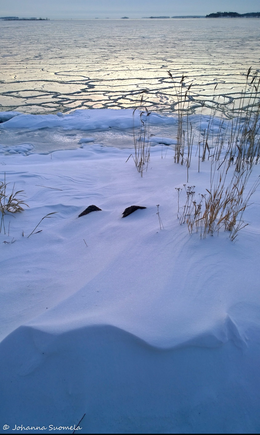 Lumikinos jaatyva meri