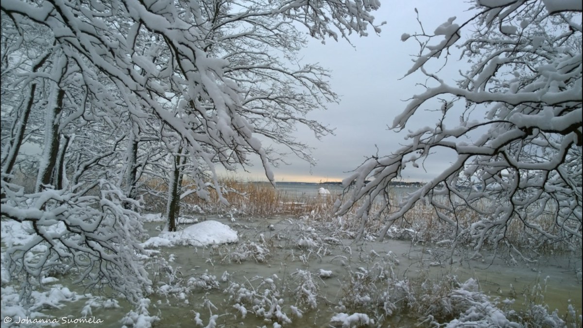 Nousuvesi meri lumioksa