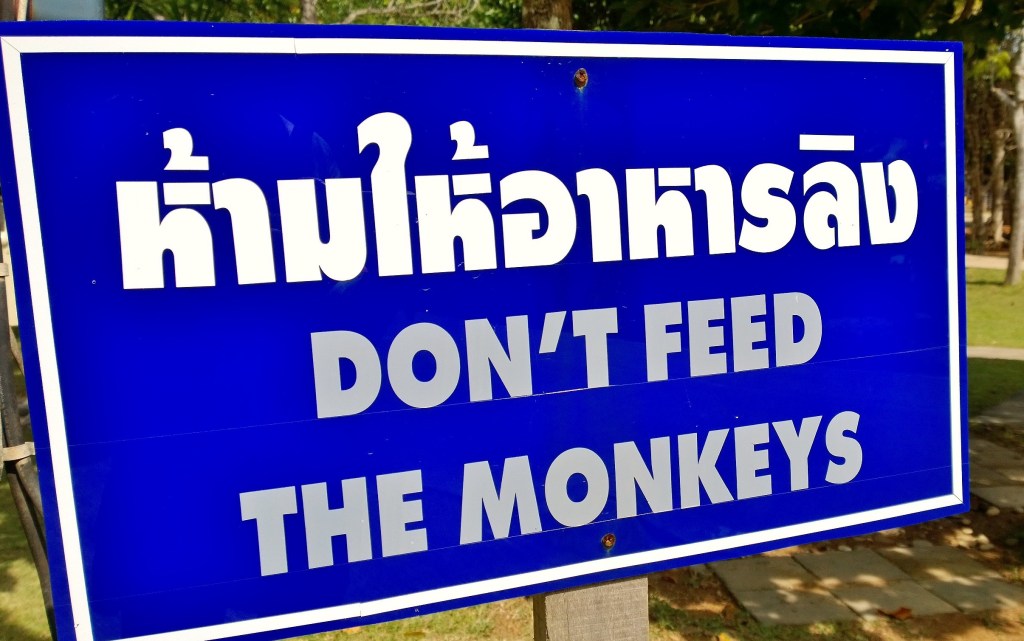 Don´t feed the monkeys