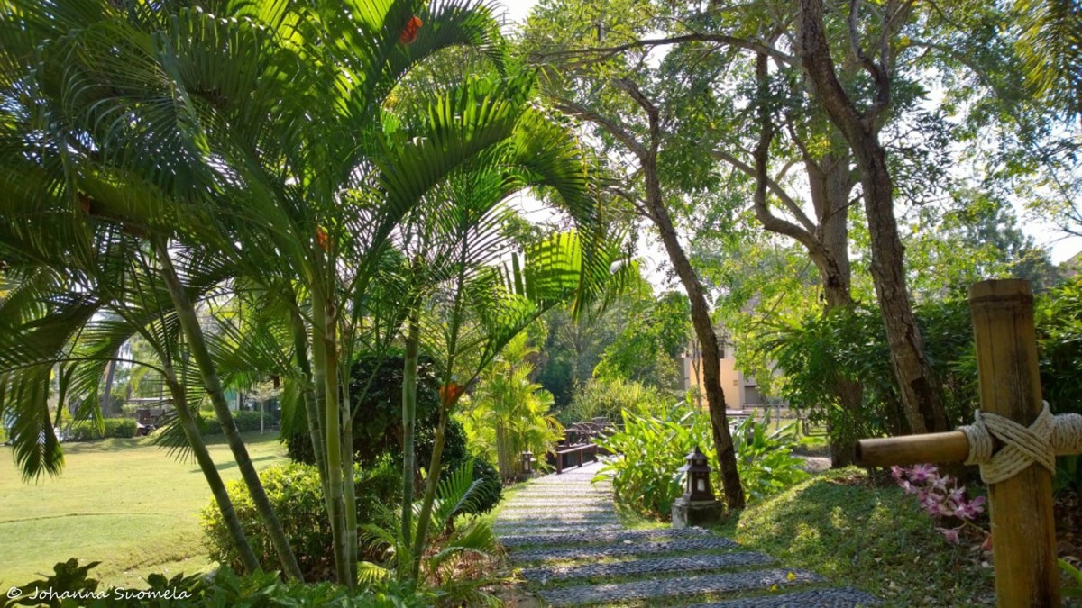 Crown Lanta puutarha