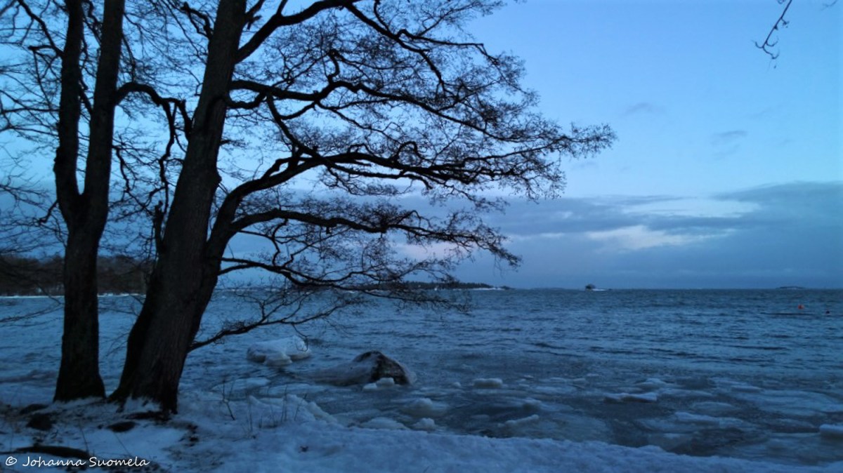 Auringonlasku Sininen hetki Merenranta