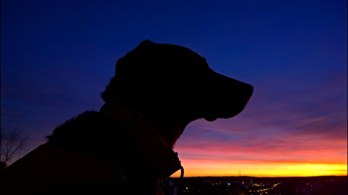 February 2016 Sunset_20160217_17_50_08_Pro