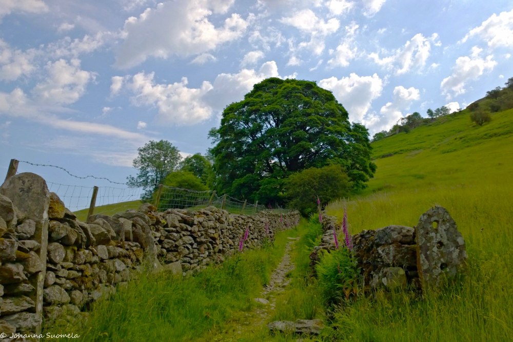 vaelluspolku Ambleside