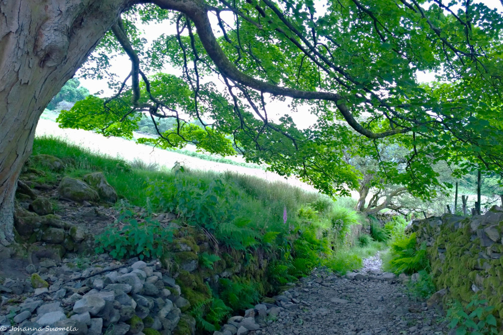 vaellusreitti Ambleside