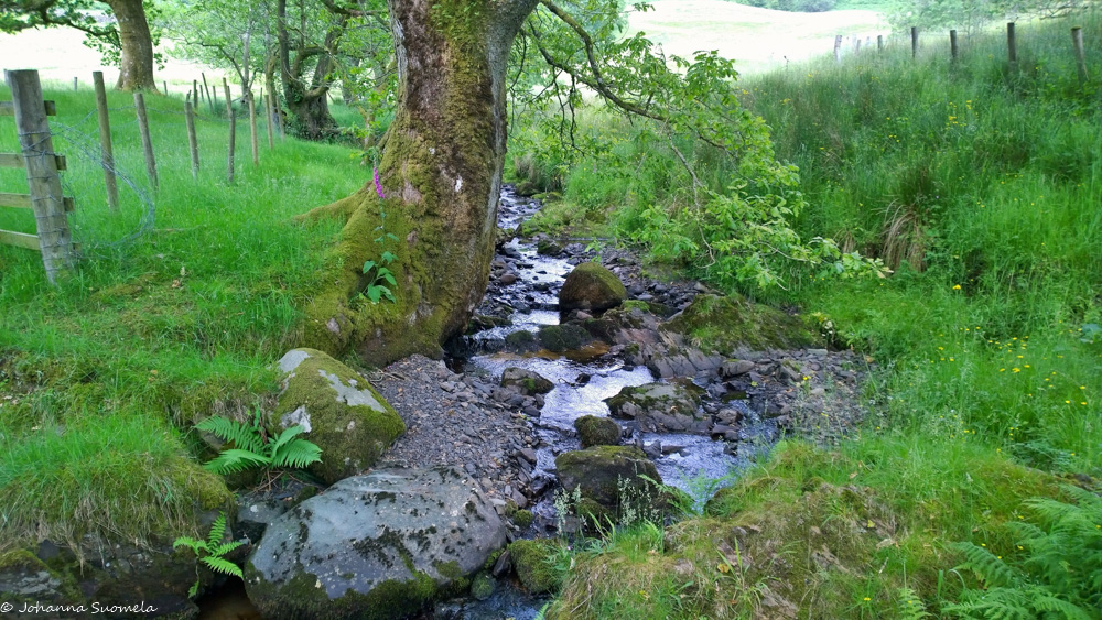 puro vaellusreitin varrella