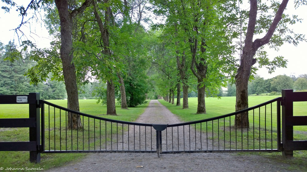 Ajoportti puukujan edessä