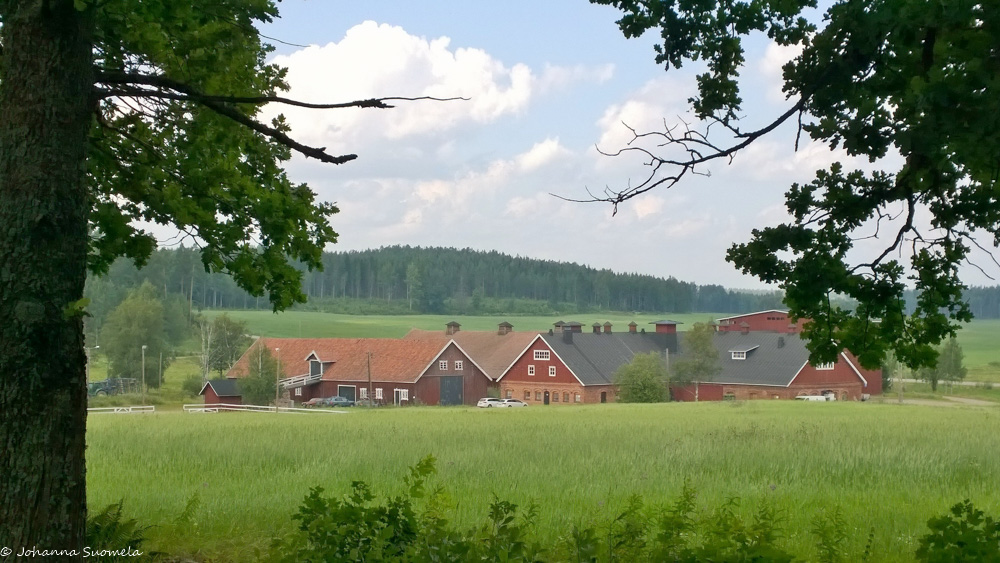 Näkymä tammikujalta  peltojen yli Malmgårdin kartanonpuodin suuntaan
