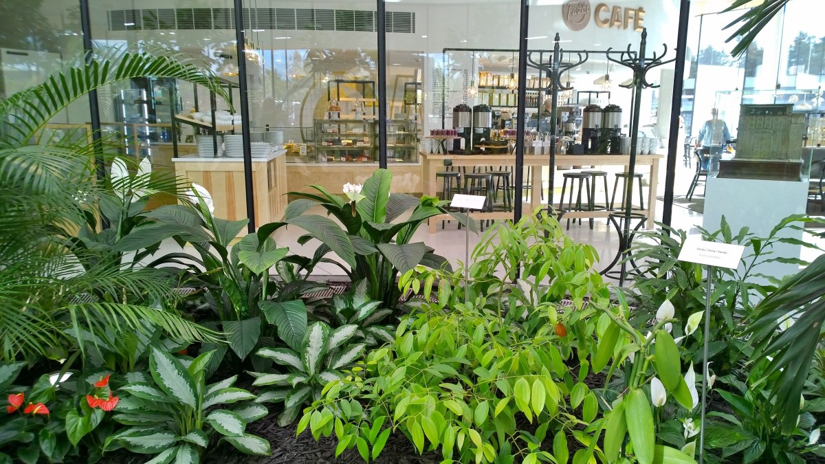 fazerexperience_20160930_15_30_41_pro