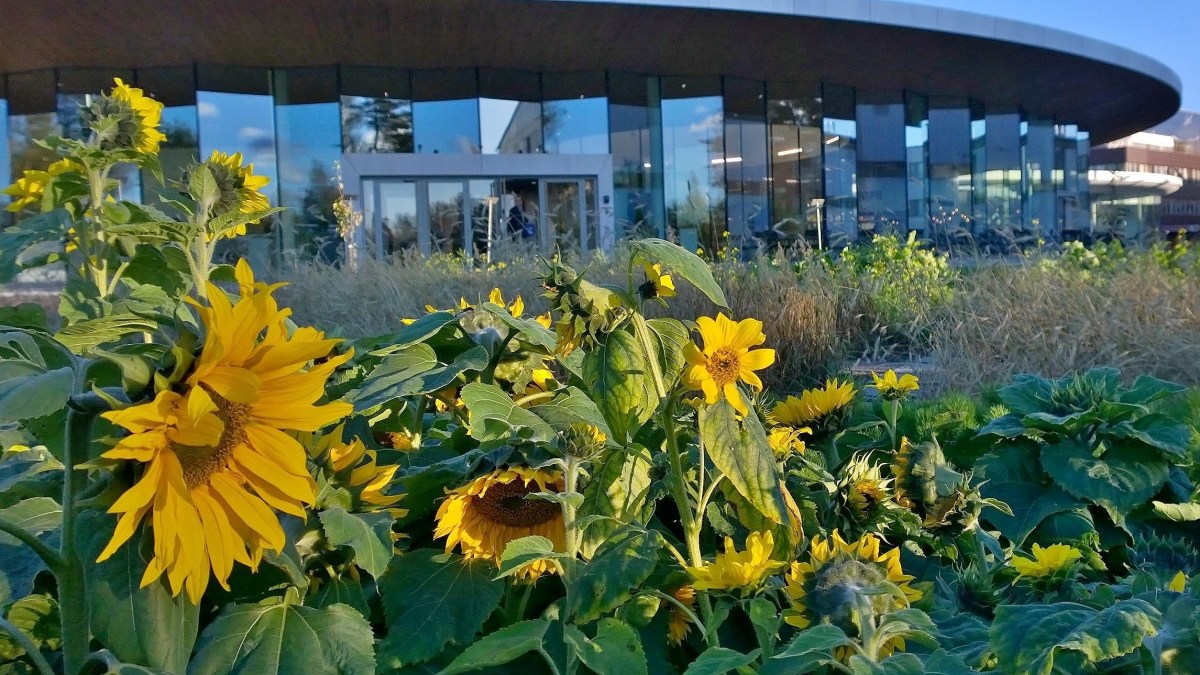 fazerexperience_20160930_17_40_35_pro