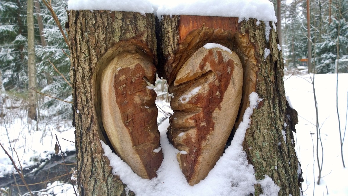 puunpaiva_20141123_11_24_37_pro