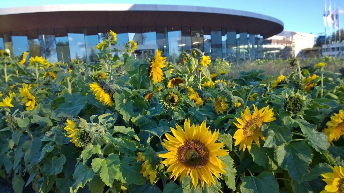 fazerexperience_20160930_17_40_11_pro