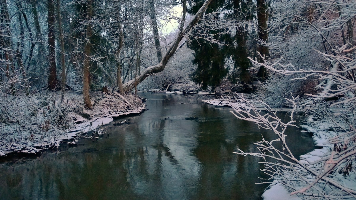 glimsinjoenluontopolku_20161218_08_53_34_pro