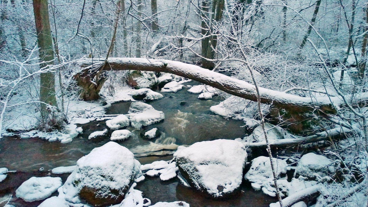 glimsinjoenluontopolku_20161218_09_00_31_pro