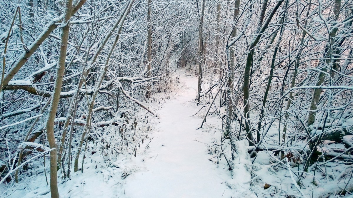 glimsinjoenluontopolku_20161218_09_01_08_pro