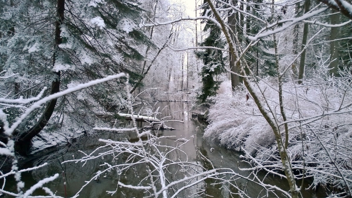 glimsinjoenluontopolku_20161218_09_35_54_pro