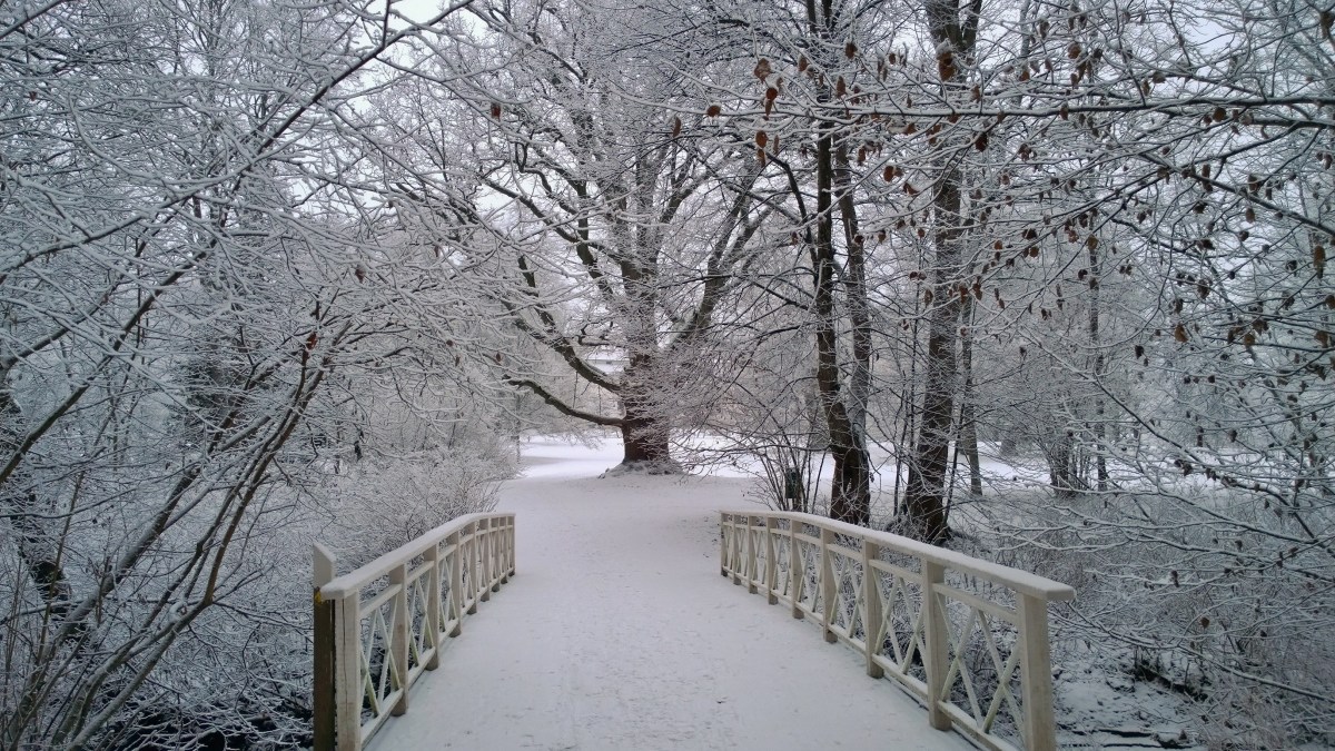 glimsinjoenluontopolku_20161218_09_38_32_pro