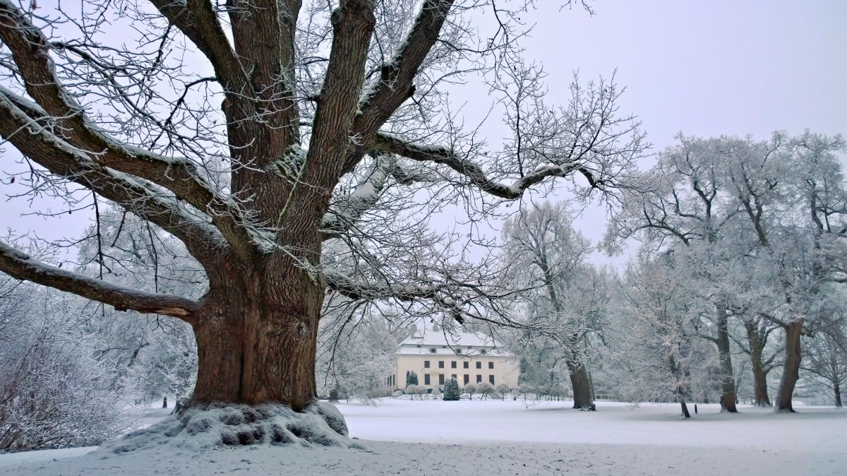 glimsinjoenluontopolku_20161218_10_08_12_pro-2