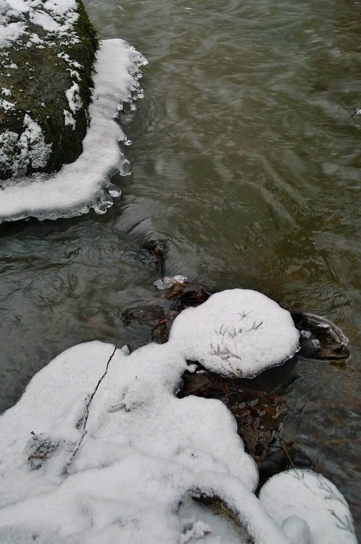 glimsinjoenluontopolku_20161218_10_49_31_pro