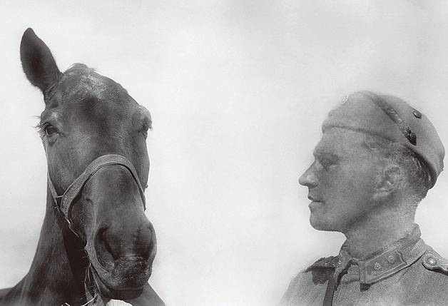 Suomenhevonen sodassa