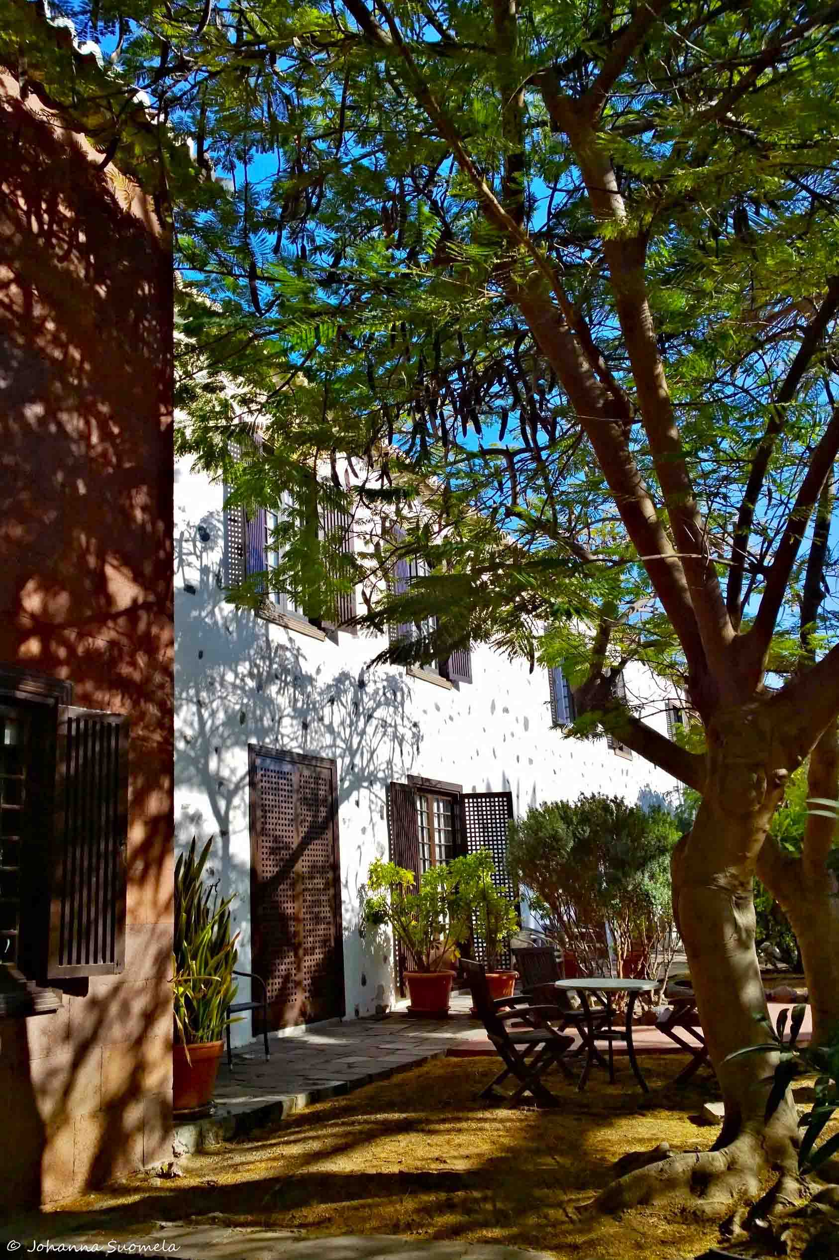 Suuren lehtipuun vehreä varjo La Gomeran Parador-hotellin puutarhassa 