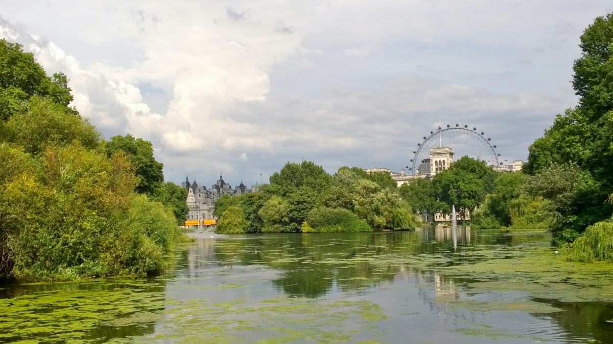 LondonEye from St. James Park