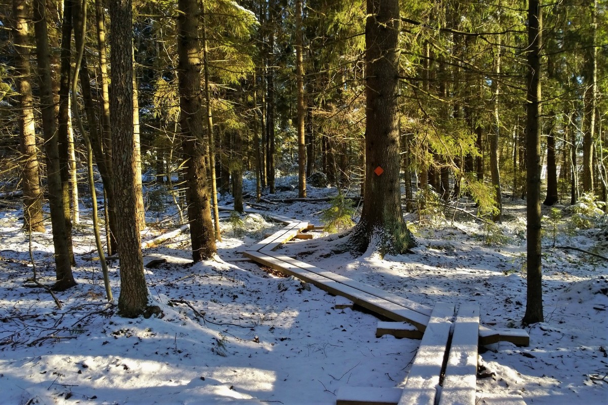 Hyypiön reitti, Liesjärven kansallispuisto