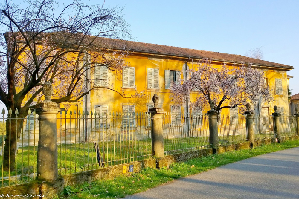 Villa Mirabellinon edessä kukkivat hedelmäpuut.
