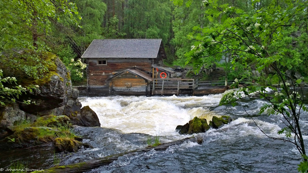 Myllykosken mylly vastarannalta kuvattuna