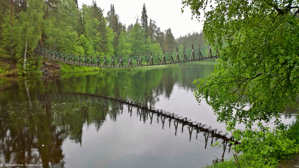 Harrisuvannon riippusilta