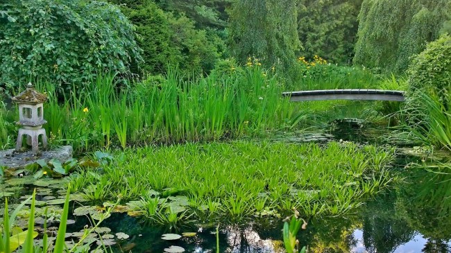 TurunYliopistonKasvitieteellinenPuutarha