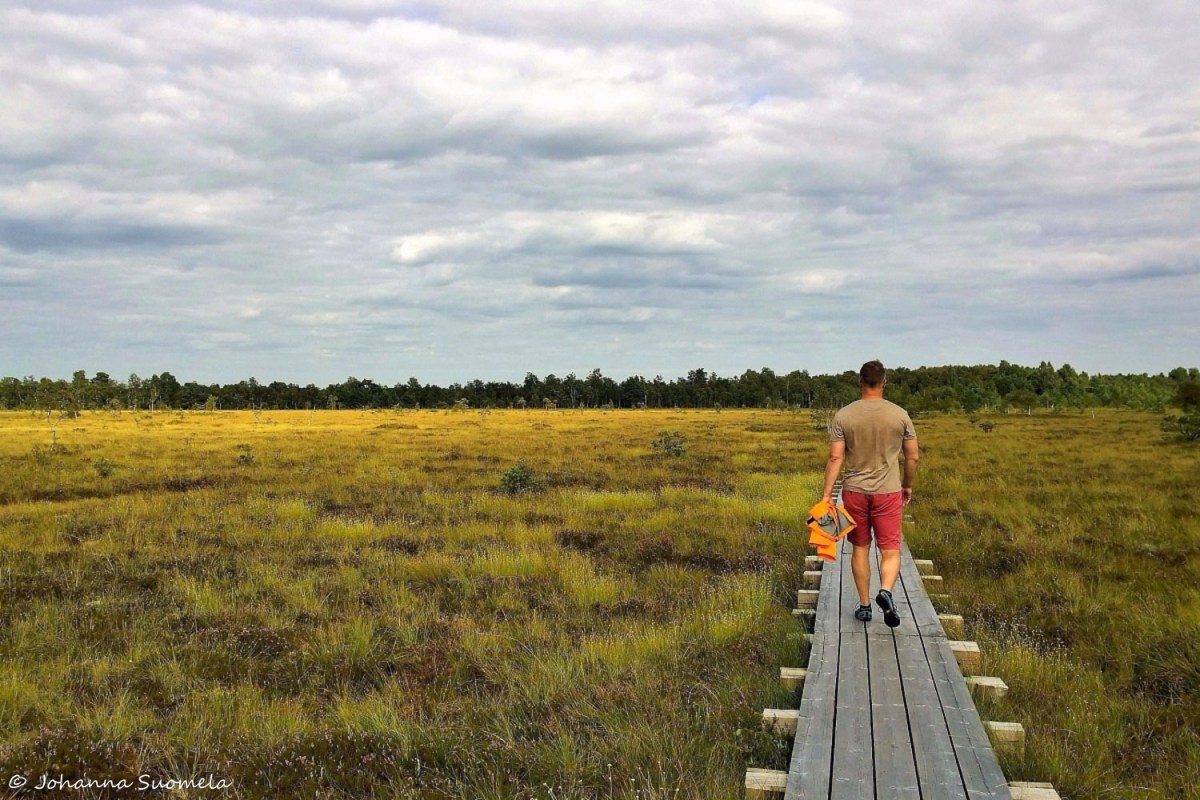 Koigin rame lankkupolku