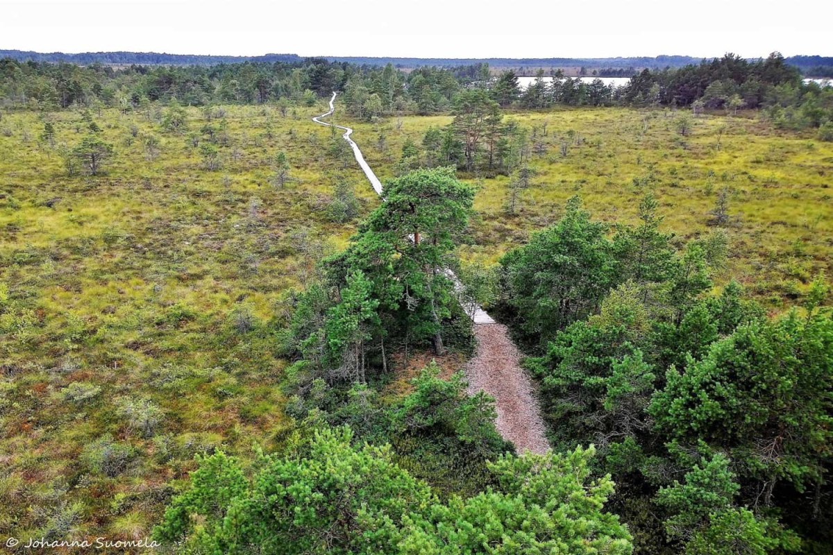 Koigin rame lankkupolku