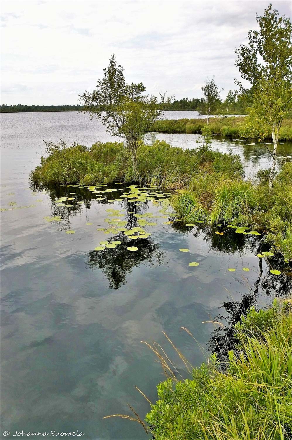 Koigin rame Pikkjarvi