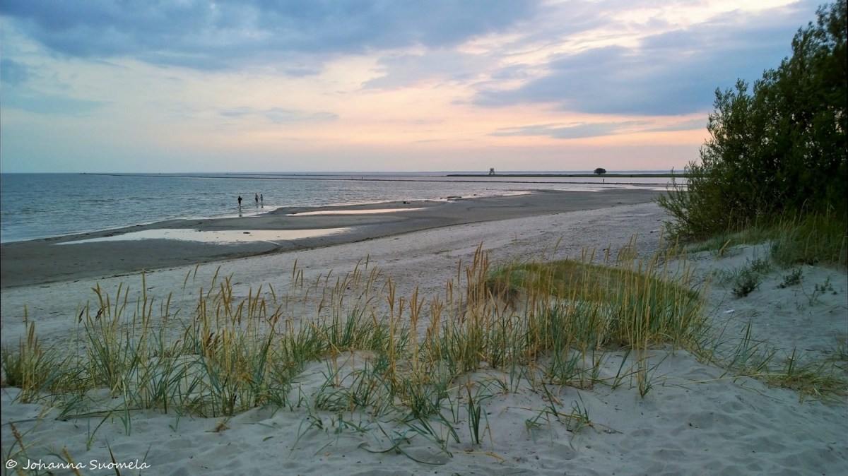 Parnu ranta hiekkadyyni