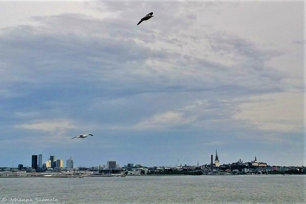 Tallinna merelta