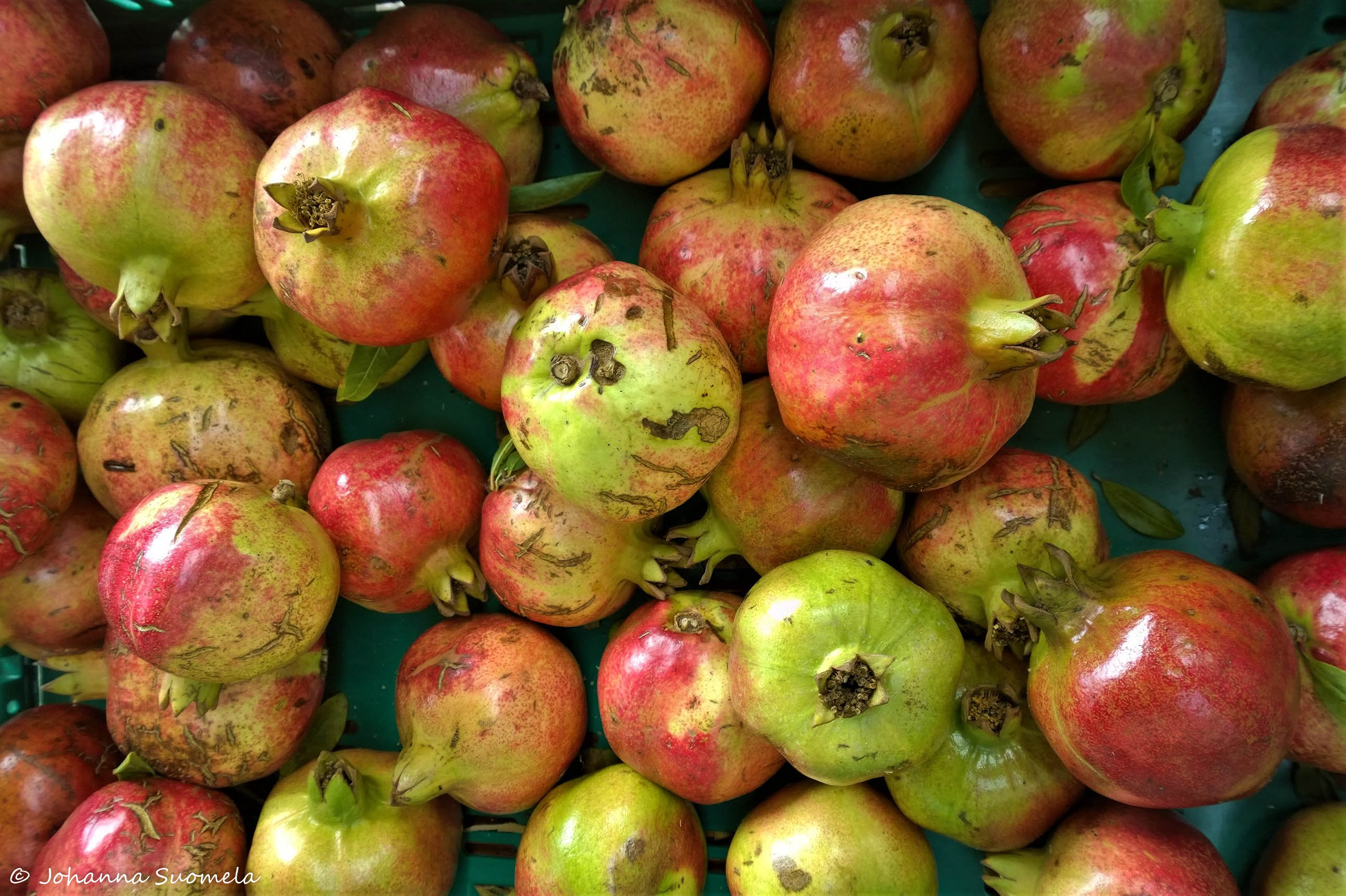 DubrovnikCityWalls20161016_14_31_16