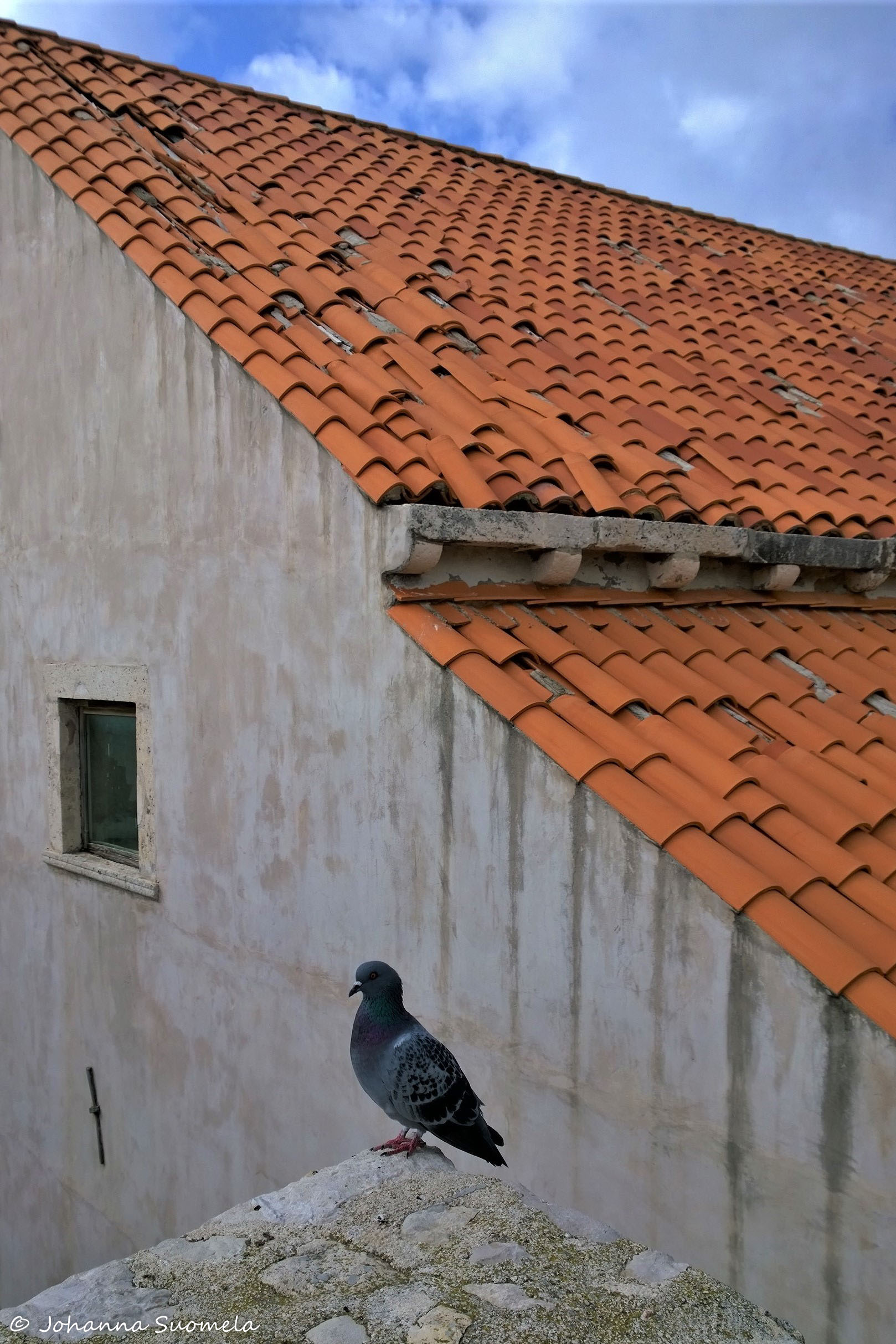 DubrovnikCityWalls20161016_15_00_25