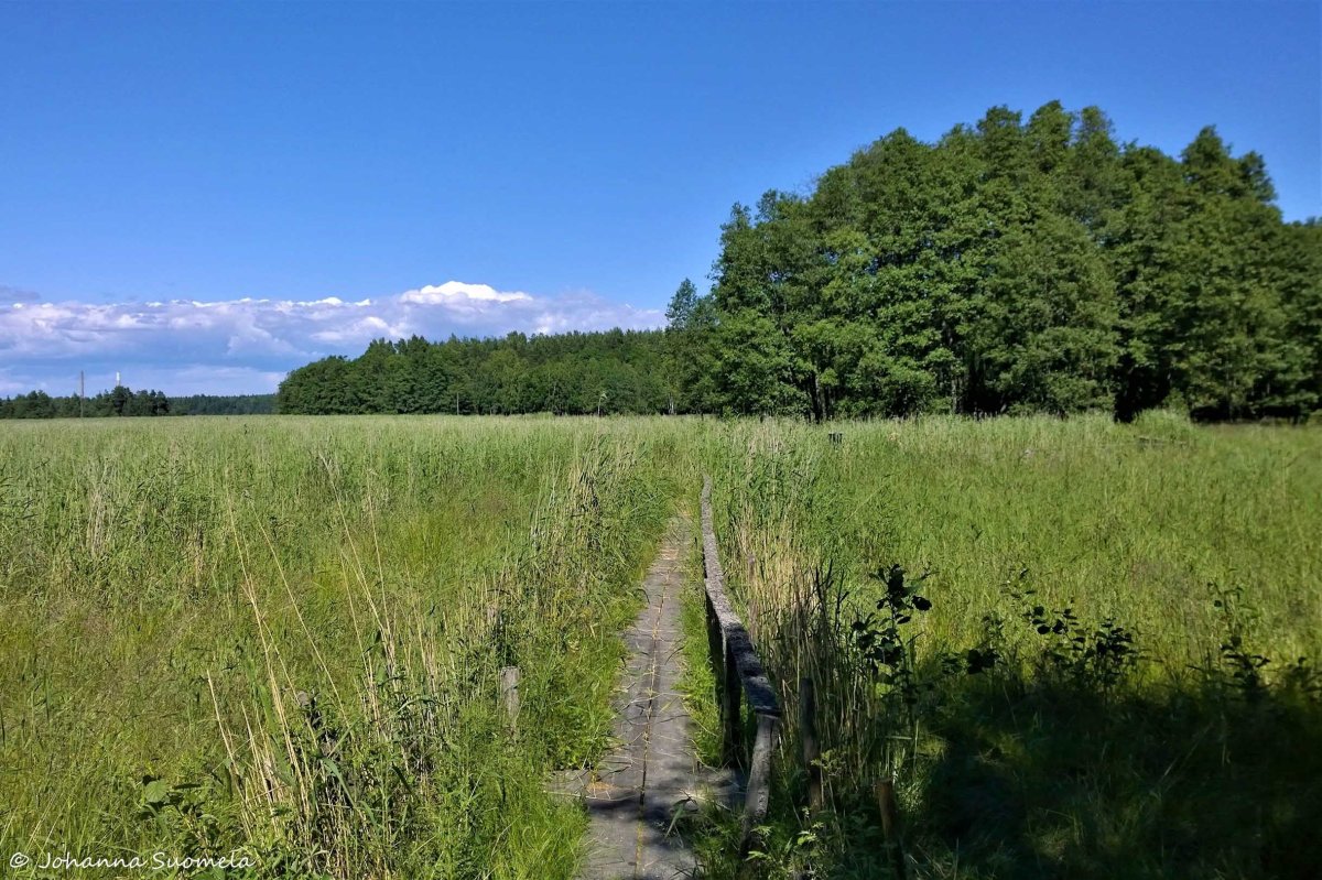 Elisaaren luontopolku 20170709144948
