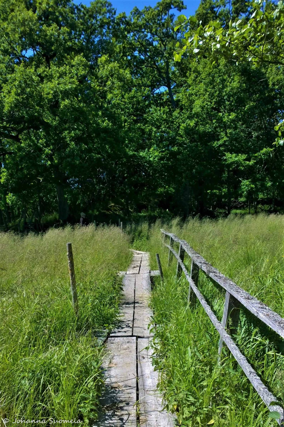 Elisaaren luontopolku