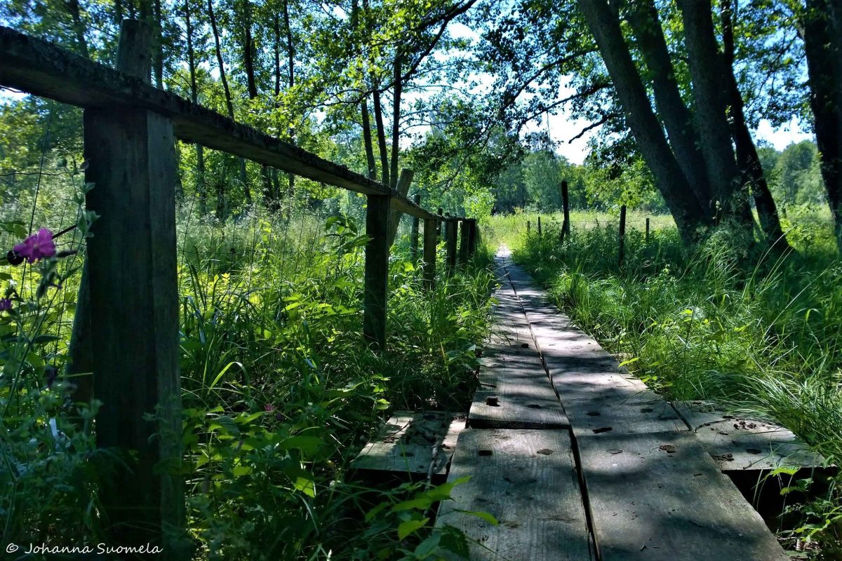 Elisaaren luontopolku