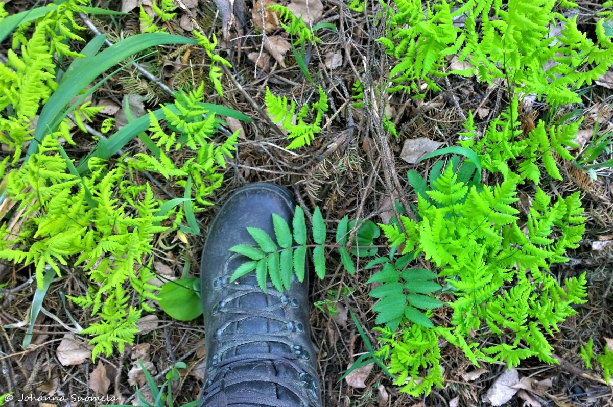 Partioaitan Retkeilykurssi