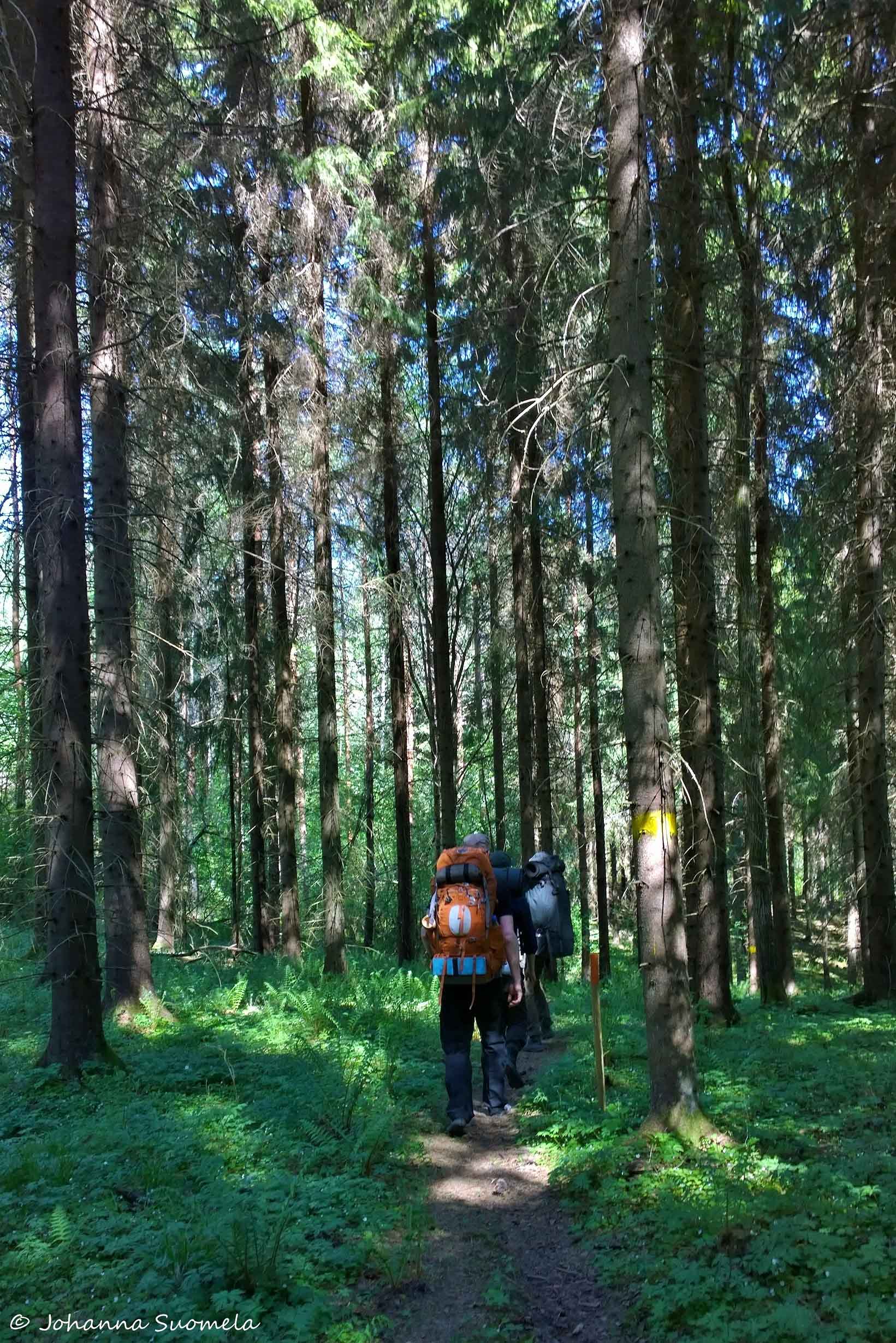 Partioaitan retkeilykurssi