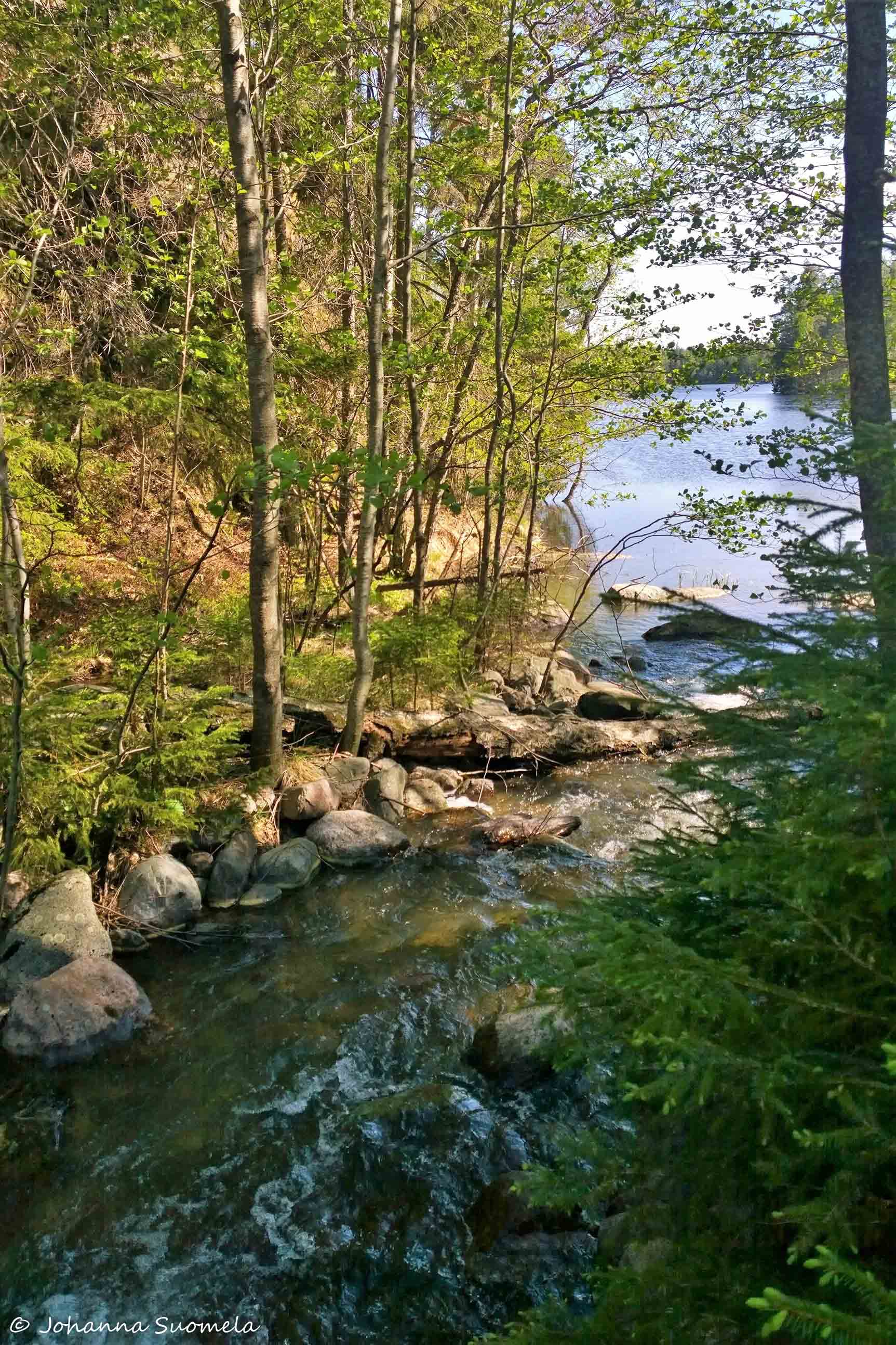 Simijärven pato Fiskars