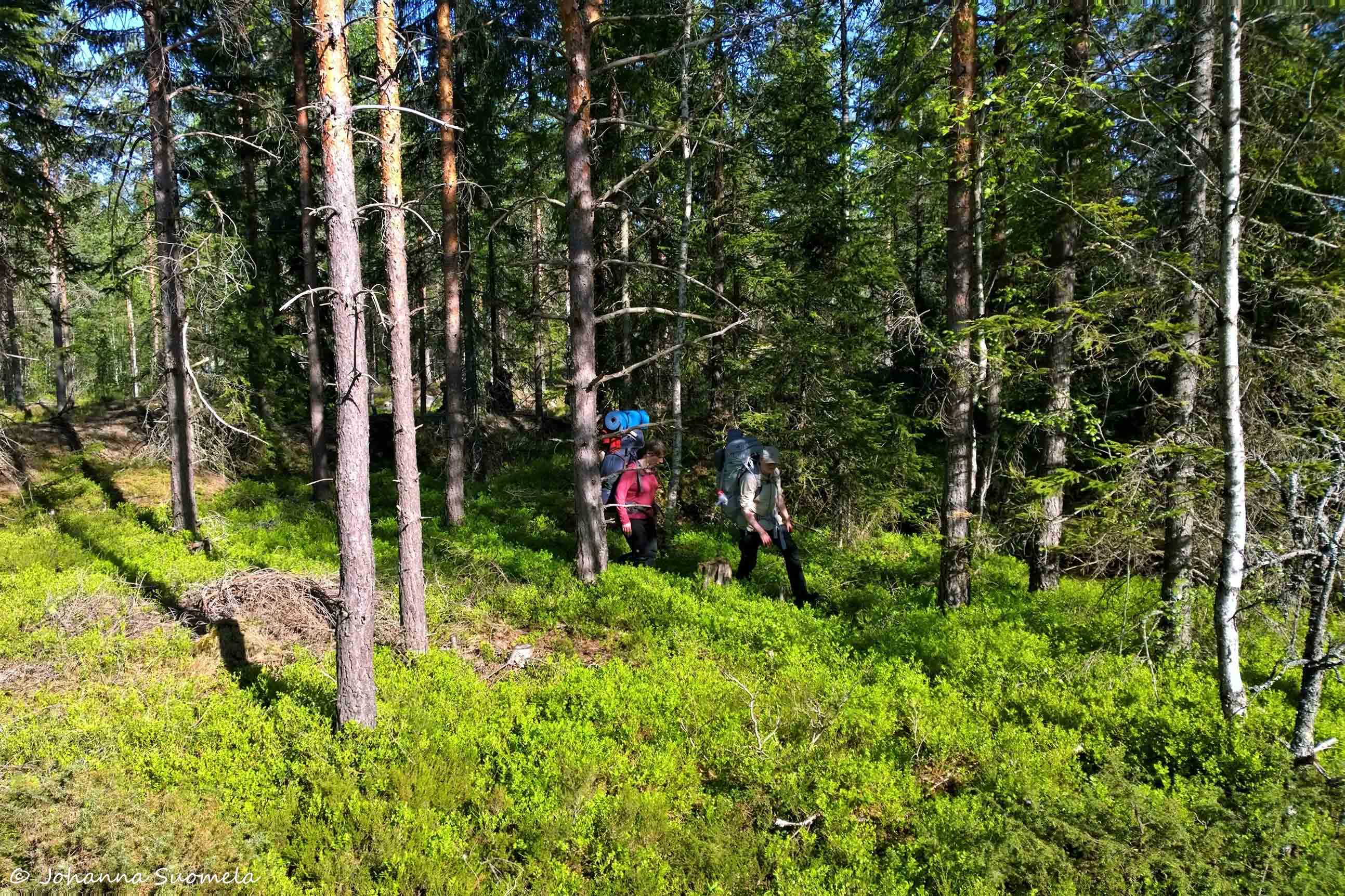 PartioaitanRetkeilykurssiFiskars20180519172719