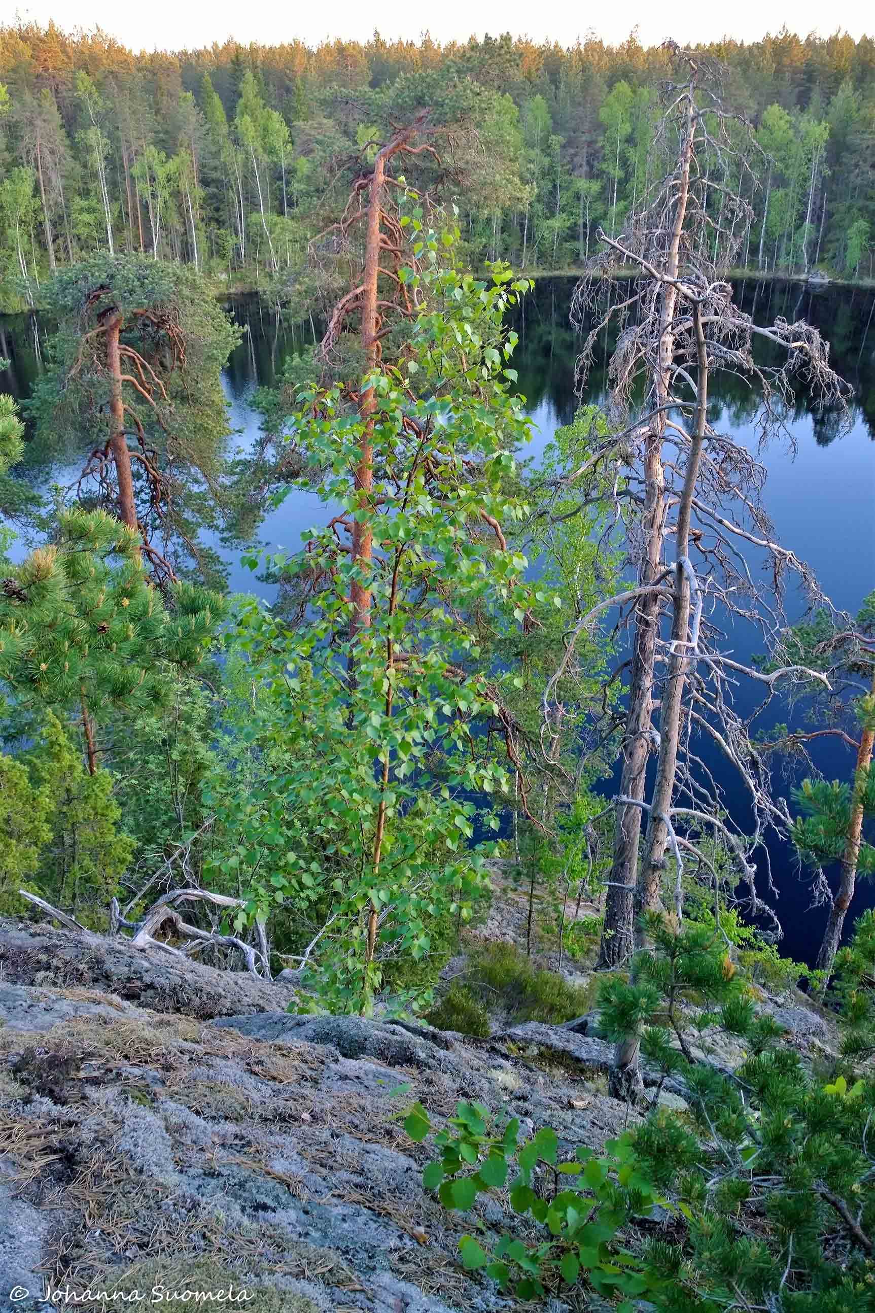 Partioaitan retkeilykurssi Fiskars