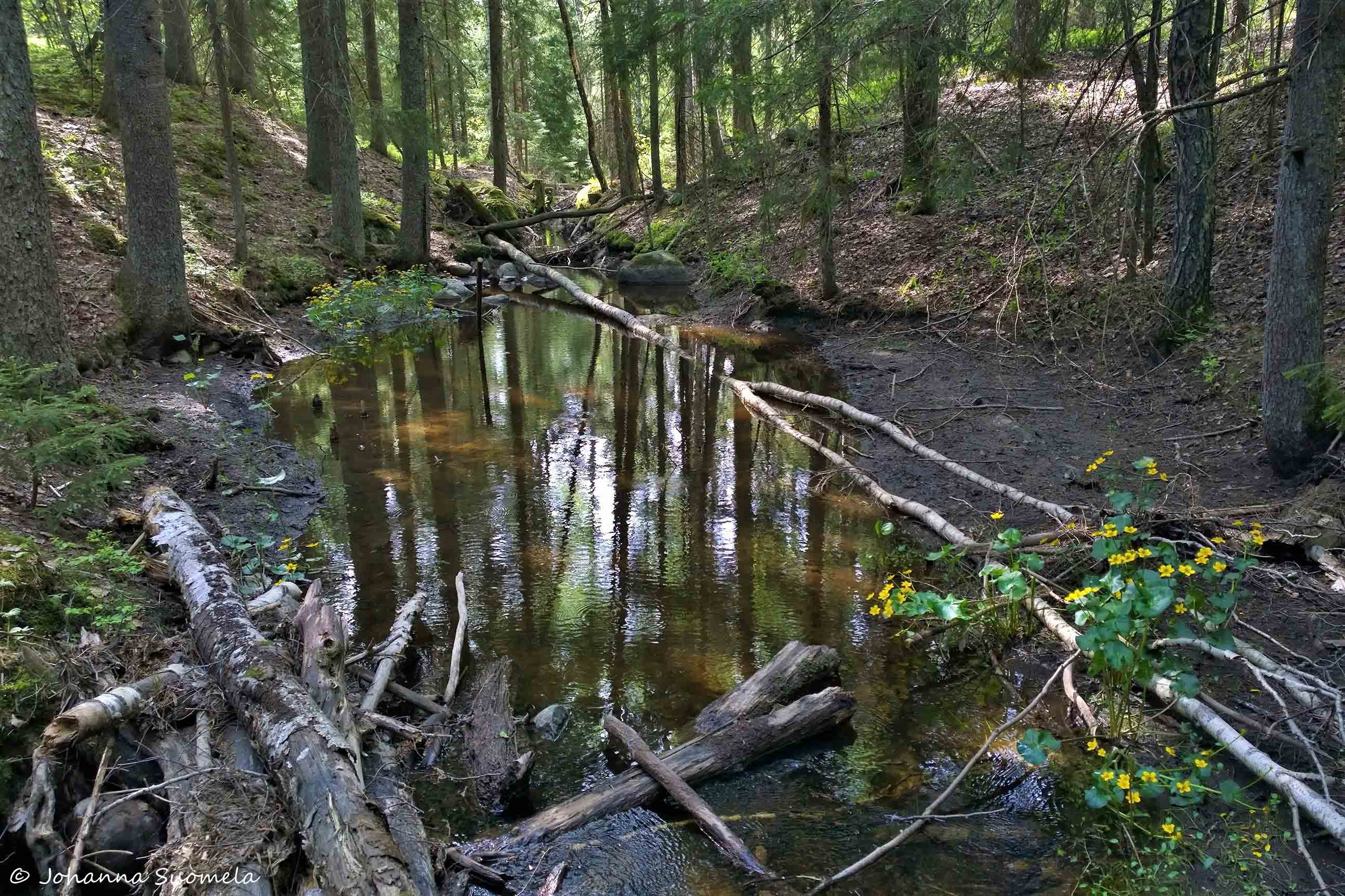 PartioaitanRetkeilykurssiFiskars20180520160746
