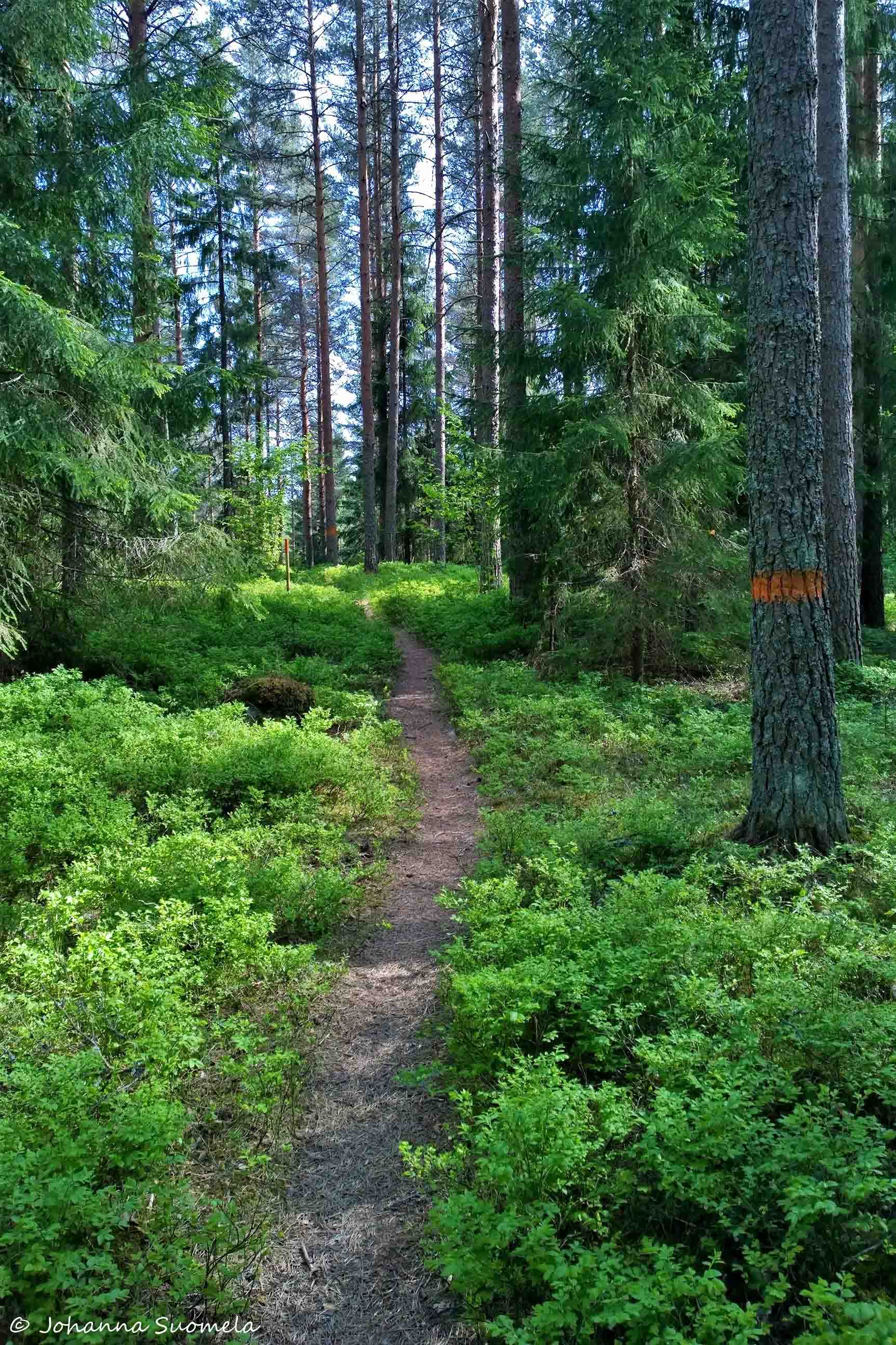 Fiskars Rissla luontopolku